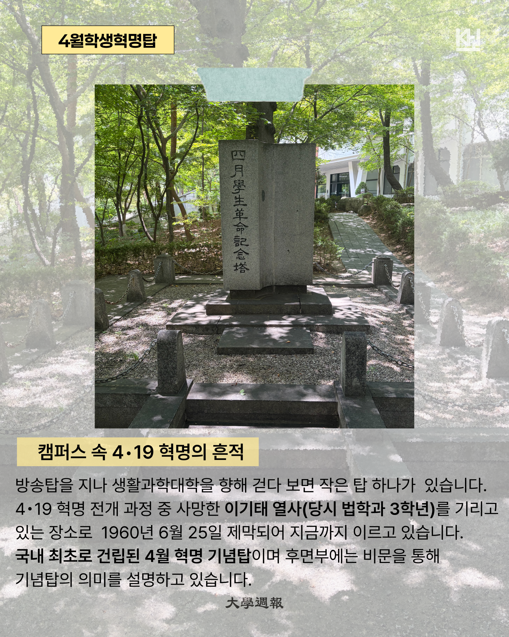 이미지1