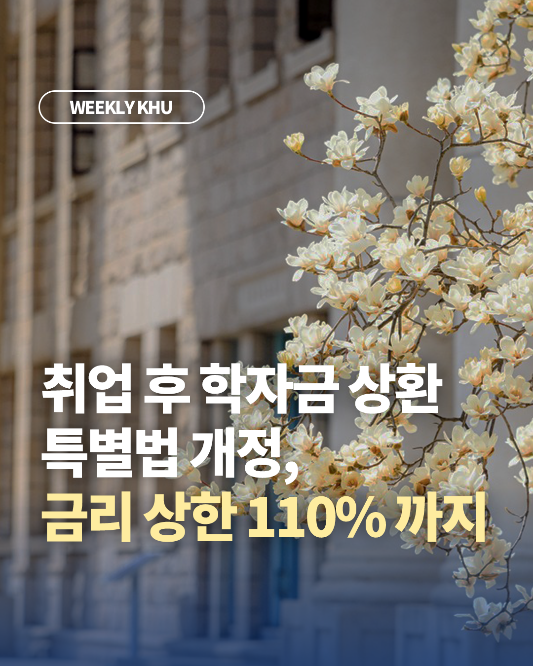 이미지1